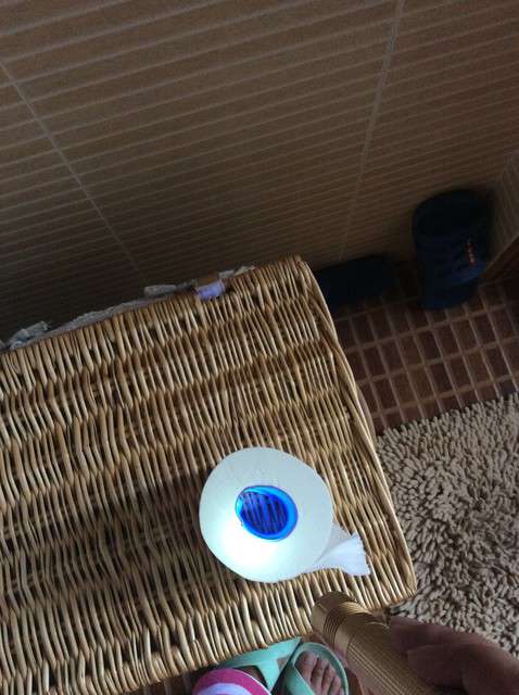  寶媽買(mǎi)了紫光手電，衣服上好多熒光劑，看的心慌害怕